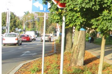 Zasłonięte znaki drogowe przez rozrośniętą zieleń.