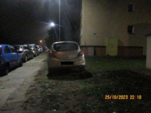 22.Parkowanie-pojazdem-na-trawniku-przy-ul.-Slonecznej