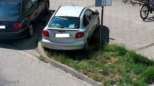 25.Parkowanie-pojazdem-w-miejscu-przeznaczonym-pod-zielen-na-ul.-Lukasinskiego.